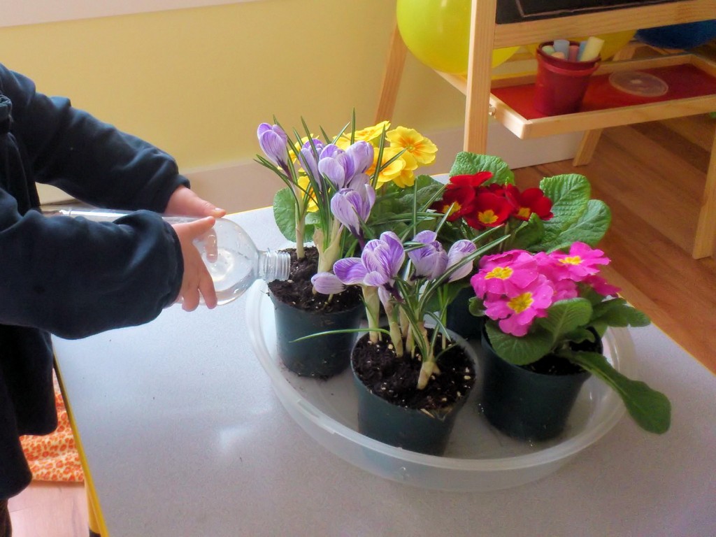 Watering Flowers