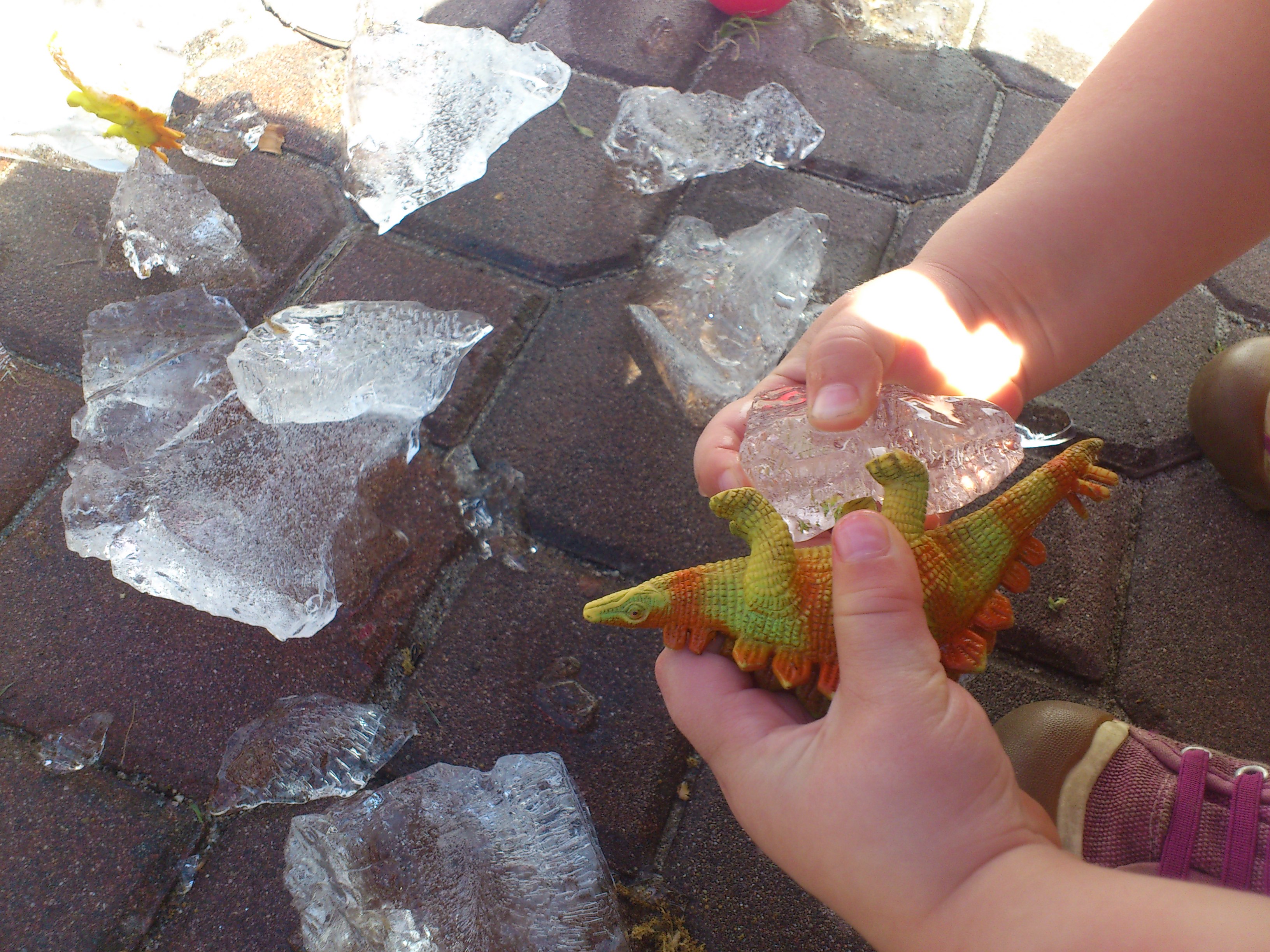 dino frozen